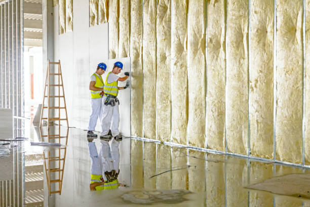 Best Radiant Barrier Insulation  in Johnston, SC